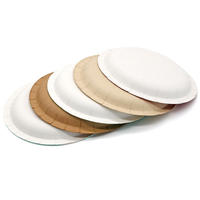 Assiettes rondes jetables en pulpe de bagasse naturelle, compostables, résistantes à l'huile, en canne à sucre, pour service de restauration et pique-niques