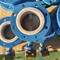 Katup Kupu-kupu Flens Ganda EPDM/PTFE Liner DI SS304 Body PN10 Standar DIN ANSI DN200 DN300 OEM Manual Untuk Industri Air
