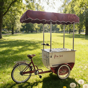 Chariot de vente de crème glacée avec parasol, chariot mobile de restauration rapide, chariot de vente de crème glacée mobile en plein air - Product Image 2