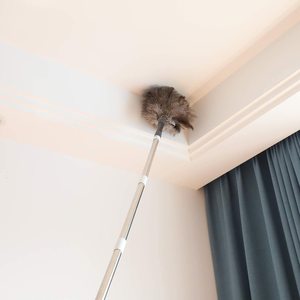 Manche en bois personnalisé autruche naturelle poulet dinde plumeau rétractable dépoussiérage avec rallonge - Product Image 6