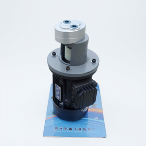 XIN FEI LBZ Vertical Gear Pump Motor Unit 0.37KW Cast <b>Iron</b> for Machine Tool Lubrication - Product Image 1