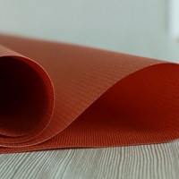 Tissu en nylon pour courroie transporteuse, emballage en rouleau NN125