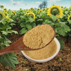 New Fresh <strong>Ginger</strong> Powder in Bulk Ready <strong>for</strong> Global Supply Economically Priced Dried <strong>Ginger</strong> with Advanced Drying Process - Product Image 2