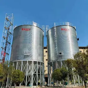 Preço do silo de aço para armazenamento de ração de grãos de milho 2000 toneladas na China para venda