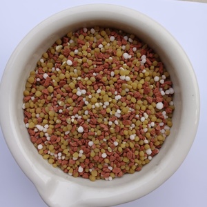 Nhà Máy Tùy Chỉnh Gạo Hợp Chất Npk Phân Bón 16 22 22 Nhà Máy Hữu Cơ Số Lượng Lớn Pha Trộn Phân Bón Sản Xuất Tại Trung Quốc - Product Image 2