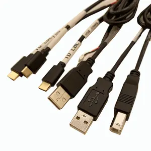 Pabrik profesional kabel kustom memanfaatkan pengisian cepat kabel USB 2.0 tipe C untuk tipe B kawat rakitan harness