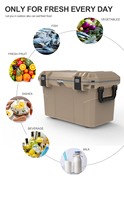 Accessoires de camping : Glacières rigides 30QT, 50QT, 70QT pour barbecue et sports de plein air