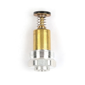 Jiali khí tĩnh nhiệt van điều khiển an toàn khí <span class=keywords><strong>gas</strong></span> nước nóng thí điểm Burner Van nam châm - Product Image 2