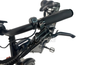 Bicicleta Eléctrica Urbana 2026 Verde 48V500 750 con Marco Bajo para Desplazamientos Urbanos - Product Image 1