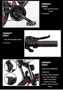 Baterí<span class=keywords><strong>a</strong></span> portadora trasera de 250W, 36V, 10Ah, bicicleta eléctrica de montañ<span class=keywords><strong>a</strong></span>, United, <span class=keywords><strong>Kit</strong></span> de conversión de bicicleta - Product Image 3