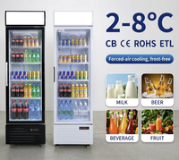 420L Ticari Dik Tip Bira Teşhir Soğutucusu, Hava Soğutmalı LED Işıklı Şeffaf Cam Kapılı İçecek Dolabı