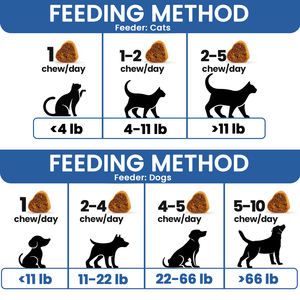 ODM OEM integratore per animali domestici per la salute dell'anca e delle articolazioni integratori per cani con glucosamina <span class=keywords><strong>MSM</strong></span> e condroitina morbida mastica la salute della mobilità - Product Image 4