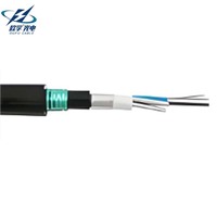 Cable de Fibra Óptica Blindado GYTA53 de Grado Profesional, 4, 8, 12, 24, 48 Hilos, para Entierro Directo con Protección de Cinta de Acero