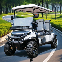 Voiturette de golf électrique 6 places avec pneus tout-terrain, prix abordable, pare-chocs personnalisable pour le camping sauvage, les traversées et les scénarios de travail en dune