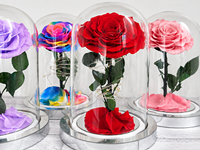 Roses éternelles artisanales préservées pour la Saint-Valentin, éternelles dans un dôme en verre avec LED