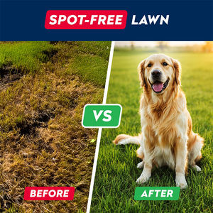 OEM/ODM erba verde morbido mastica integratori per cani da compagnia tenere erba verde supporto intestino digestivo Pet cura integratore sanitario per animali domestici - Product Image 2