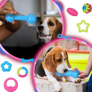 Jouet à mâcher pour chiot et chien, couleurs personnalisées, écologique, mignon, durable, en TPR, avec jouets en forme d'os à tétine neutre, petite taille, vente chaude - Product Image 4
