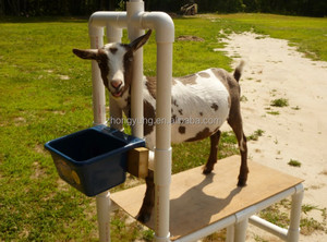 Dê cừu treo máng thức ăn qua hàng rào nhựa động vật trung chuyển khoáng sản - Product Image 5
