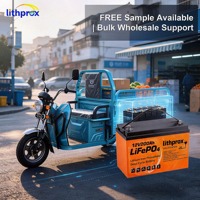 Batterie au lithium LiFePO4 12V200AH de haute qualité pour fauteuil roulant électrique, haute densité énergétique, haute efficacité pour véhicule de mobilité, CE RoHS UL