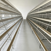 Cage à poules pondeuses de type A, cage de batterie avicole automatique avec abreuvoir à tétine galvanisé