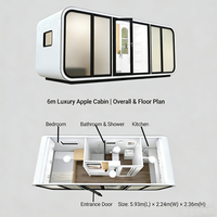 Cabane en acier préfabriquée de couleur personnalisée, style moderne, pour glamping, mini-maisons