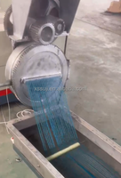 Extrudeuse Granulateur Monophasé Monovis pour Flocons de Plastique Recyclé ABS, PP, PE, LDPE, HDPE, PET avec Moteur et Pompe