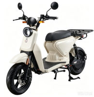 Moto électrique EEC COC personnalisable, Lithium Swan, 3000W, 72V, longue autonomie, pour adultes, 2 roues, scooter électrique