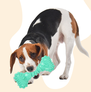 Giocattolo per Cani in <span class=keywords><strong>TPR</strong></span> Resistente ai Morsi con Suono, per Pulizia Denti e Interazione - Product Image 4