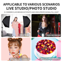 Kit de studio photo professionnel avec support d'éclairage, boîte à lumière 50x70CM, réflecteur en polyéthylène à haute teneur en particules pour vidéo