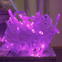 Guirlande Lumineuse LED 2m 20 Violet Connectable Décorative Extérieure Éclairage Intérieur pour Mariage Fête de Noël Vacances
