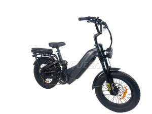 Bicicleta Eléctrica de Nieve con Doble Suspensión y Baterías Dobles de Gran Capacidad 60V/72V 35AH - Product Image 2