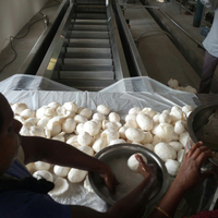 Ligne de traitement multifonctionnelle en acier inoxydable 304 pour l'extraction d'huile de coco verte, le décapage, la pression et la filtration, et la production d'eau de coco
