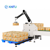 Robot Paletizador Colaborativo de Fácil Programación, Equipo de Apilamiento de Cajas y Bolsas Accionado por Servomotores