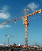 Mini-grue à tour de 3 tonnes, hauteur de levage de 30 m, machine de levage économique pour la construction et la rénovation de petits bâtiments résidentiels
