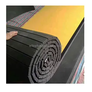 Hot sale WWE wrestling martial art mats fireproof mat fila approved taekwondo interlockingl roll-up mat flooring