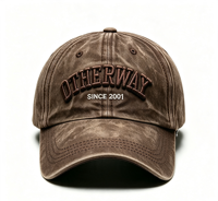 Gorra de Béisbol Personalizada al por Mayor con Logotipo, de Algodón Lavado, 6 Paneles, Diseño de Bordado 3D, Cierre a Presión, Unisex, Estilo Urbano, Deportivo, para Fiestas