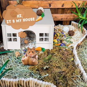 Piccola capanna per criceti in legno di animali per interni ed esterni gabbia per criceti riccio casa ventilata capanna in legno per criceti - Product Image 5