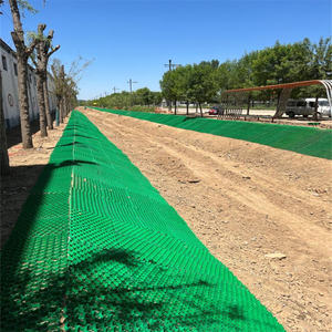 Rejilla de Plástico Verde para Césped, Estacionamiento, Acceso de Emergencia, Pasarela, Filtro para Césped, Ladrillo para Plantación en Pendientes, Tablero de Drenaje - Product Image 5