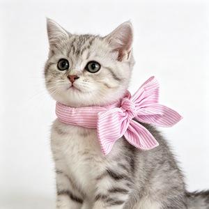 [618] Écharpe rafraîchissante d'été pour chats et chiens, livraison directe disponible pour les petites races comme le Bichon Frisé et le Schnauzer, accessoire rafraîchissant pour animaux de compagnie - Product Image 1