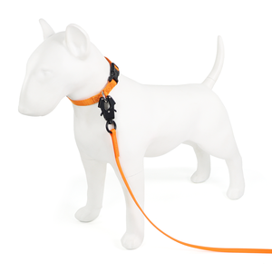 Originale guinzaglio cane impermeabile rivestito in gomma PVC tessitura piatta lunga linea guinzaglio per cani facile controllo - Product Image 6