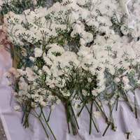 Fleurs de gypsophile séchées et pressées en gros pour l'art encadré, les spécimens, la décoration murale de la maison et les idées de cadeaux de mariage