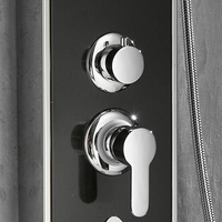 FLG Fashion panneaux de douche numériques thermostatiques noirs en acier inoxydable