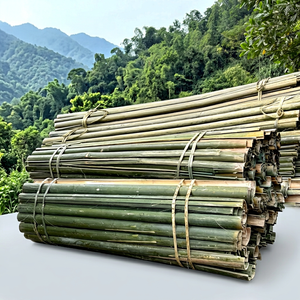สินค้าขายดี |   ไม้ไผ่แปรรูปแข็งแรงทนทานสำหรับงานสานตะกร้า งานก่อสร้างแผงบังแดด โรงงานเวียดนาม - Product Image 1