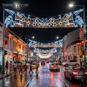 Lumière décorative LED personnalisable TOPREX certifiée UL pour rues urbaines, centres commerciaux et affichage lumineux de Noël en centre-ville - Product Image 2