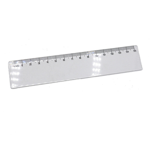 ABS Custom 30cm plastic ruler