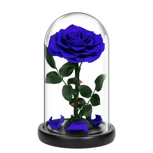 ดอกกุหลาบที่เก็บรักษาไว้ในโดมแก้วสำหรับงานแต่งงานดอกไม้หัวดอกกุหลาบ9-10ซม. ทำด้วยมือ2024 DIY