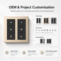 Prime Matter Interrupteur mural tactile en verre pour maison intelligente, panneau de commande intelligent avec contrôle de scène pour hôtels et villas