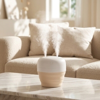 Diffuseur d'air frais Innovaccion, pliable, vente en gros, générateur de brouillard, humidificateur, atomiseur, air frais, mini humidificateur portable de voyage