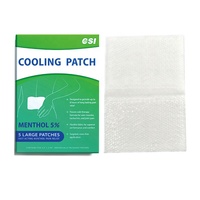 Produits tendances CSI : Gel mentholé à action rapide pour soulager les douleurs musculaires et articulaires, patchs dorsaux imperméables à force maximale pour le soulagement de la douleur.