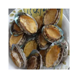 المأكولات البحرية الغذاء المجمدة كامل Abalone في قذائف الجملة مع قذيفة